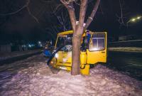 В Киеве маршрутка с пассажирами сбила пешехода и влетела в дерево (видео)