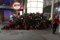 "ЧП года": в аэропорту "Борисполь" рухнула огромная новогодняя ель