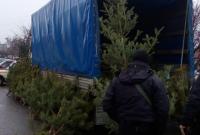 В Херсонской области изъяли 350 контрабандных елок