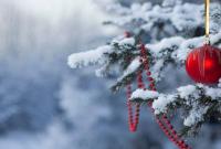 В Украине новый год начнется с небольшим снегом
