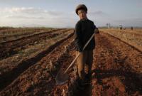 В Китае бьют тревогу из-за засухи