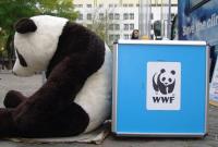 WWF финансирует военные формирования, которые пытают и убивают подозреваемых в браконьерстве, - BuzzFeed