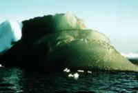 Железяки. Американские ученые разгадали тайну знаменитых зеленых айсбергов Антарктиды