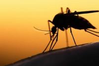 В Украине зафиксировали еще один случай малярии