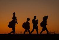 На польско-украинской границе задержали нелегальных мигрантов из Алжира