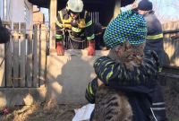 В Закарпатской области сотрудники ГСЧС спасли кота. Он упал в заброшенный колодец