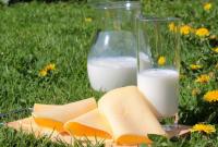 В Украине обнаружили более 400 партий фальсифицированной молочной продукции