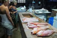 Более 80% импорта рыбной продукции приходится на мороженую рыбу