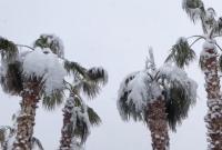 Лас-Вегас засыпало снегом (видео)