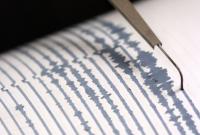 Мощное землетрясение всколыхнуло Чили