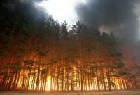 Трамп предложил Путину помочь с ликвидацией лесных пожаров