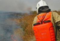 В России подсчитали убытки от лесных пожаров за I полугодие