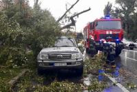 Непогода в Киеве: деревья падали на автомобили и трамвайные пути