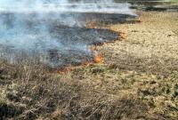 В Полтавской области загорелось 30 га сухой травы