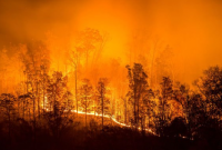 На Канарах более 2 тысяч человек эвакуировали из-за лесных пожаров