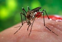 Жертвами лихорадки денге на Филиппинах стали более 800 человек