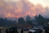 В Греции из-за масштабного лесного пожара эвакуировали сотни туристов