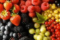 В прошлом году в Украине вырастили почти 133 тыс. тонн ягод