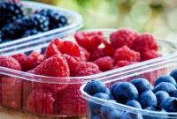 Украина вошла в пятерку мировых лидеров по экспорту фруктов и ягод