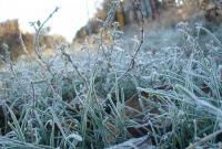 Погода испортится: синоптик предупредила о заморозках в Украине