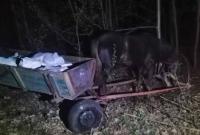Украинцы пытались провезти в Беларусь 800 кг сала на телегах с лошадьми