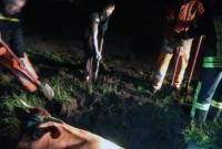 В Днепропетровской области спасатели освободили корову, которая упала в сливную яму