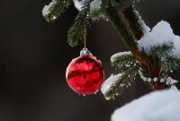 Украли у детей праздник: в России из детсада украли украшенную детьми новогоднюю елку