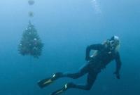 Под Днипром елку с игрушками и гирляндой закрепили на глубине 40 метров (видео)