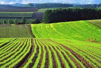 Госгеокадастр завершил инвентаризацию государственных сельскохозяйственных земель
