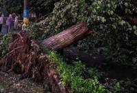 Мощный ураган в Кривом Роге: один человек погиб, два пострадали