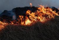 В Луганской области горит заминированный лес, есть пострадавший