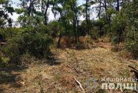 "Черные лесорубы" закопали тело погибшего в лесу коллеги для избежания разборок