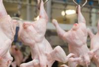 Скандал на мировом рынке курятины: Бразилия поставляла Великобритании "опасный" продукт
