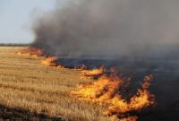 На Харьковщине сгорело 23 га пшеничного поля