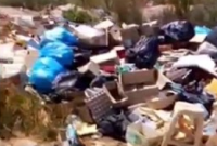 Вонь, черви и крысы: популярный морской курорт в Украине утонул в мусоре (видео)
