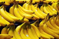 Плантациям бананов в Южной Америке грозит опасный грибок