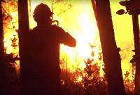 Лесные пожары в Португалии: число пострадавших увеличилось до 20