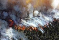В Сибири ввели режим ЧС из-за масштабных лесных пожаров