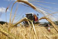 Жатва-2019: в Украине собрали почти 32 млн тонн зерна
