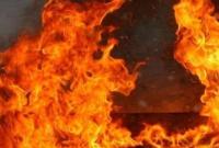 Названа предварительная причина масштабного пожара на птицефабрике под Киевом