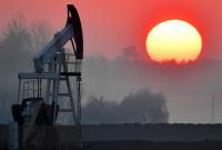 Польша возобновила прокачку российской нефти