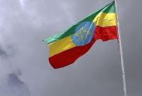 В Эфиопии арестованы свыше 100 оппозиционеров