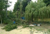 На базе отдыха под Харьковом дерево убило женщину