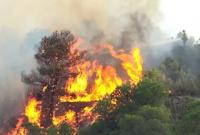 Украинцам советуют не ездить в Каталонию из-за лесных пожаров