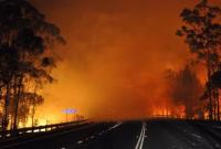 Лесные пожары в Австралии: два человека погибли, десятки травмированы