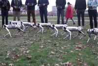 Американские ученые выгуляли роботов-собак в парке (видео)