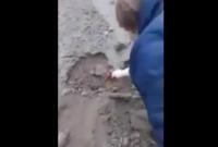 В России детям вместо песка привезли землю с кладбища (видео)