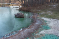 Химикаты или токсические отходы: на Киевщине позеленело озеро