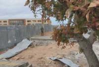 Варварский подход: оккупанты в Крыму готовы уничтожить 32 га краснокнижных деревьев