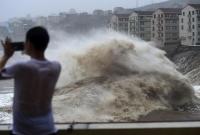 Количество погибших от тайфуна "Хагибис" возросло до 77